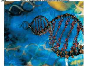 replication, recombination, mutation