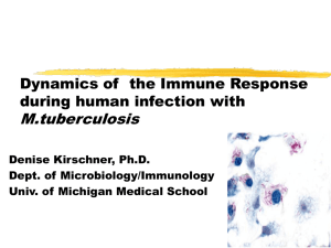 M. tuberculosis - Denise Kirschner