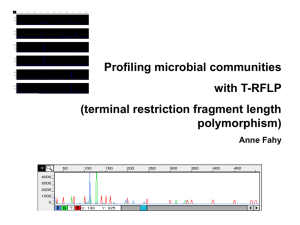 Profiling bacterial communities with T-RFLP