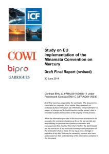 Study on EU Implementation of the Minamata Convention on