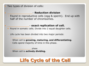 Life Cycle of the Cell
