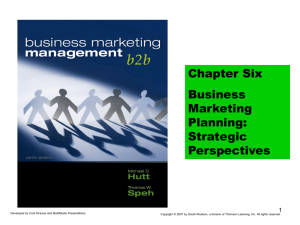 Business Marketing Planning: Strategic Perspectives