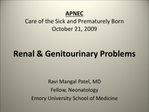 Fetal Anomaly GenitoUrinary Problems