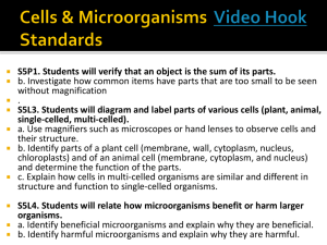 Cells and Microorganisms Overview