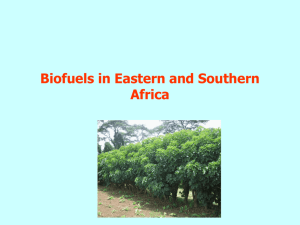 Biofuels in Eastern and Southern Africa - S. Karekezi
