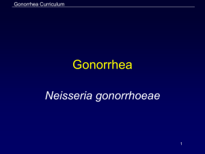 Gonorrhea PowerPoint