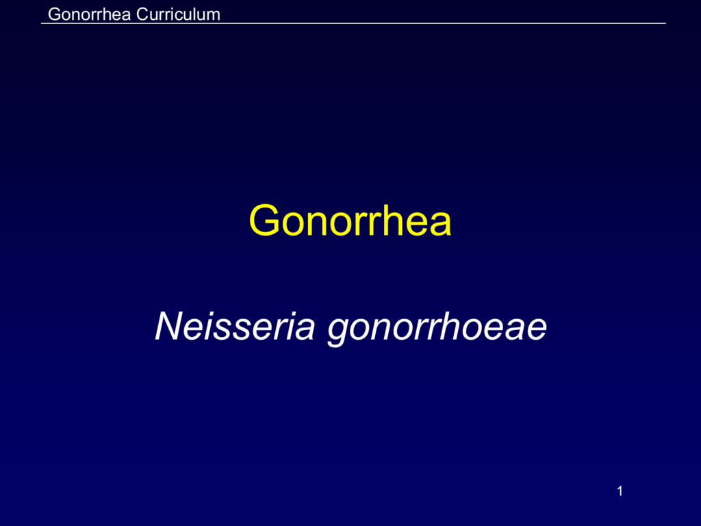 Gonorrhea Powerpoint