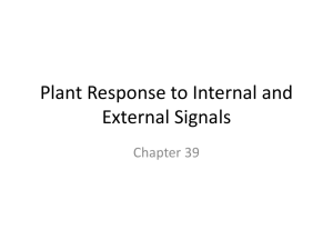Plant Response to Internal and External Signals