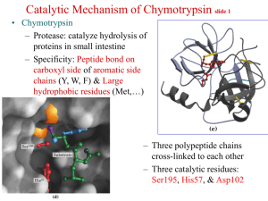 Catalytic Mechanism of Chymotrypsin