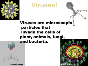 Viruses! - nimitz163