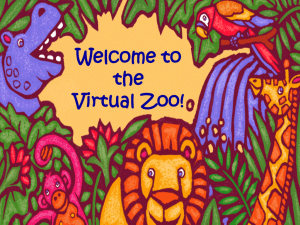 the Virtual Zoo!