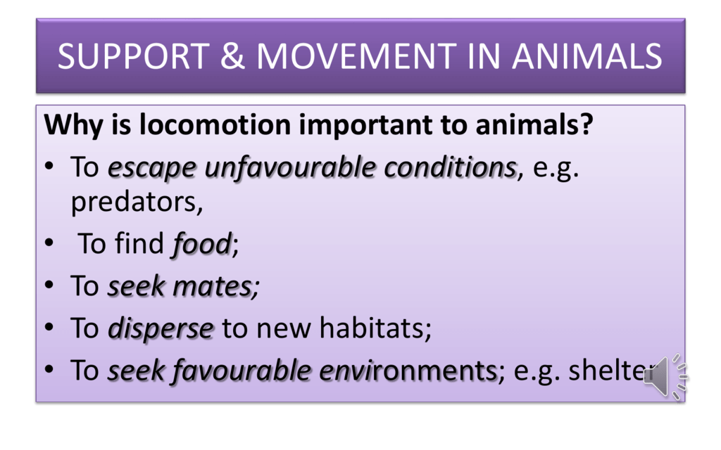 support & movement in animals