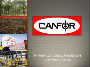 Canfor Group Presentation3