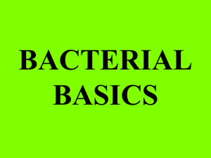 Bacterial Basics
