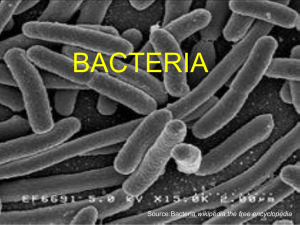 bacteria introduction