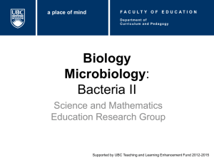 Biology: Microbiology: Bacteria I