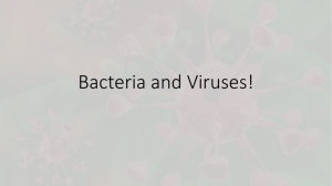 Bacteria and Viruses PPT and Notes