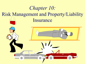 Risk Management And Property/Liability Insurance