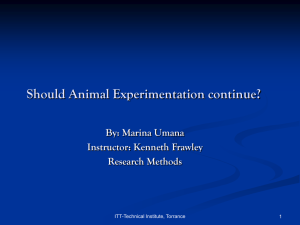 Should Animal Experimentation continue?