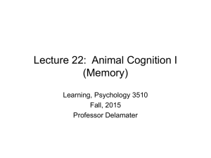 Animal Cognition I: Powerpoint 22