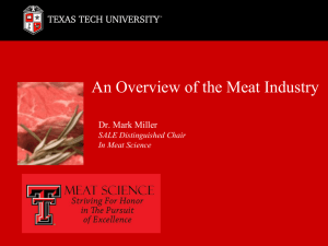 Overview of the Meat Industry