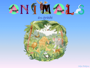 Animals - BgLOG.net