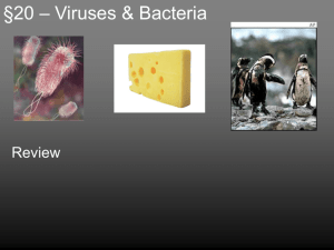 §20 – Viruses & Bacteria - Cardinal Newman High School