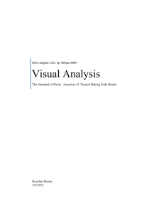 Visual Analysis - 1301minimesters12