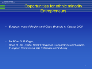 Opportunities for ethnic minority Entrepreneurs