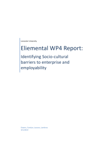 Eliemental WP4 Report
