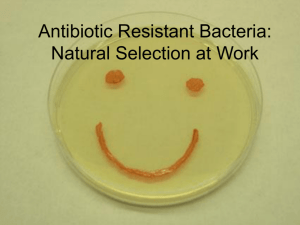 Antibiotic Resistant Bacteria: a lesson in evolution