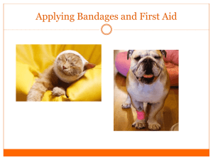 Applying Bandages and First Aid