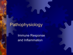 3-Inflammation - bloodhounds Incorporated