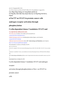 of Ser727 on STAT3 in prostate cancer cells androgen receptor