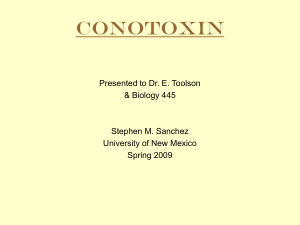 Conotoxin - Biology - University of New Mexico