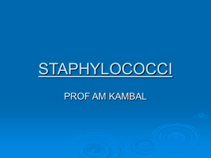 6-Staphylococci