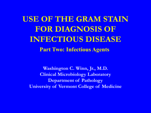USE OF THE GRAM STAIN FOR DIAGNOSIS OF INFECTIOUS