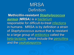 MRSA Definition