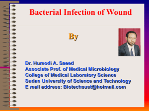 Bacterial Infection of Wound Wound Infection Staphylococcus