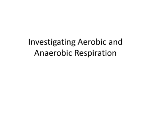 Investigating Aerobic and Anaerobic Respiration