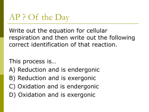 Cellular Respiration