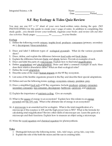 SF Bay Ecology & Tides Quiz Review