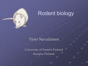 Rodent biology