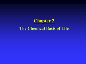 Chapter 2: The Chemical Basis of Life