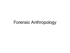 Forensic Anthropology