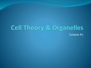 L8.PPT.Cell theory & organelles - mr