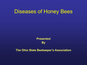Diseases of Honey Bees - Ohio State Beekeepers Association