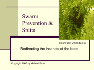 Swarm Prevention & Splits