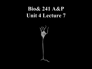 Bio 241 Unit 4 Lecture 7 PP