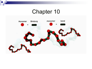 Chapter 10 - CCRI Faculty Web